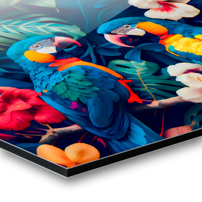 Dibond Shield Glanz mit bunten Papageien und tropischen Pflanzen im Hintergrund.
